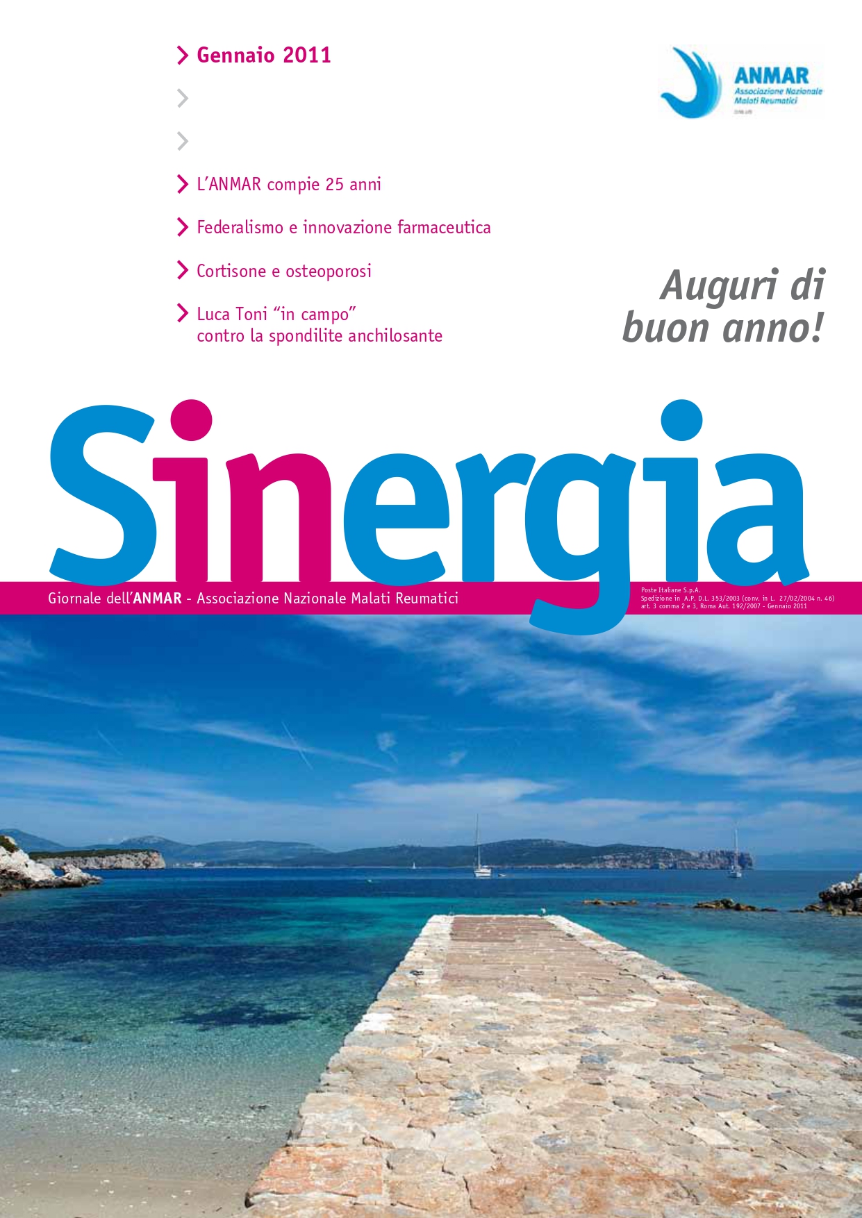 Sinergia gennaio 2011