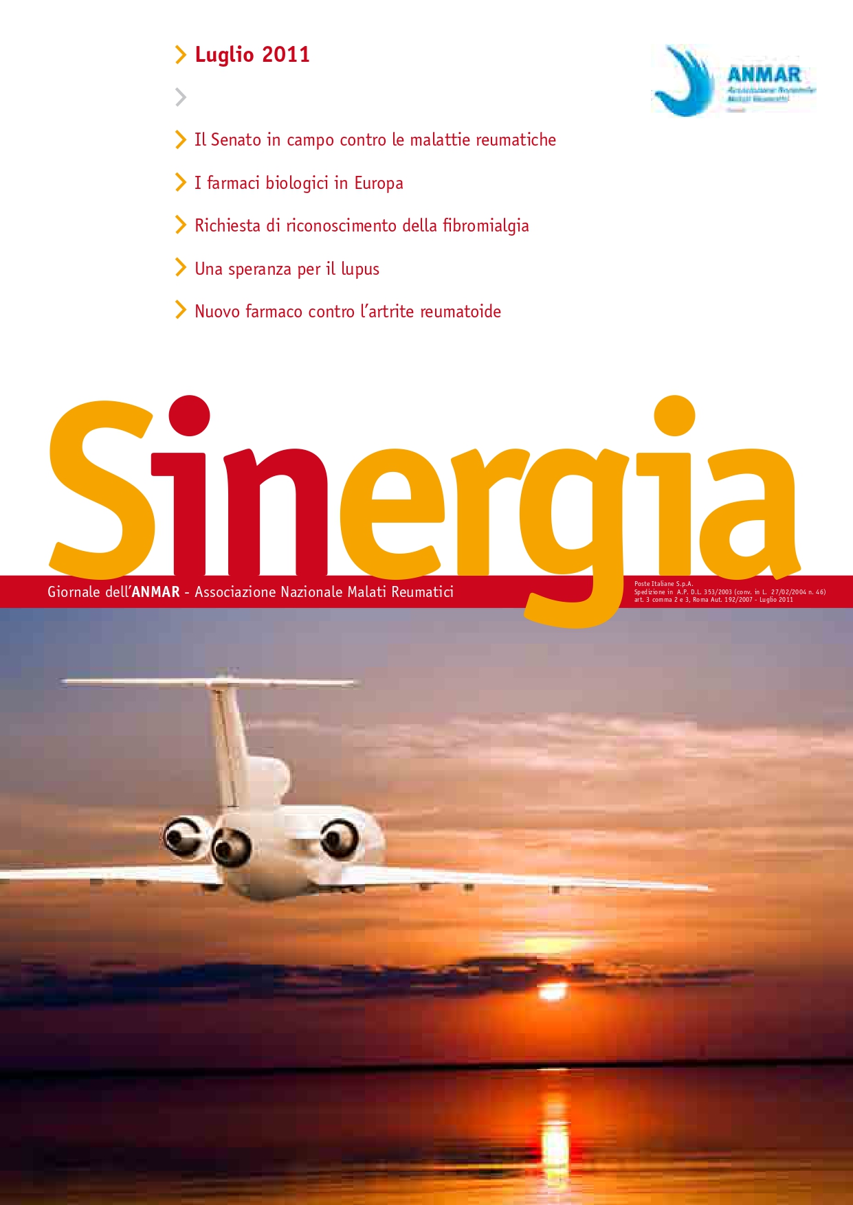Sinergia luglio 2011