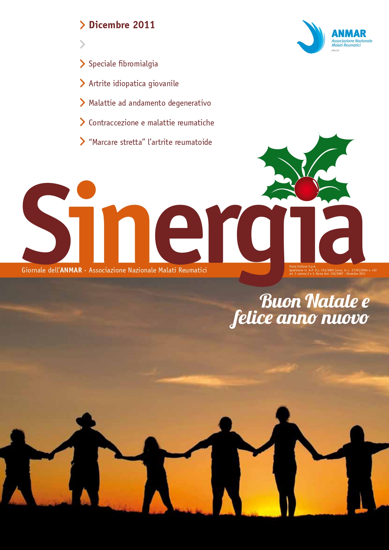 Sinergia dicembre 2011