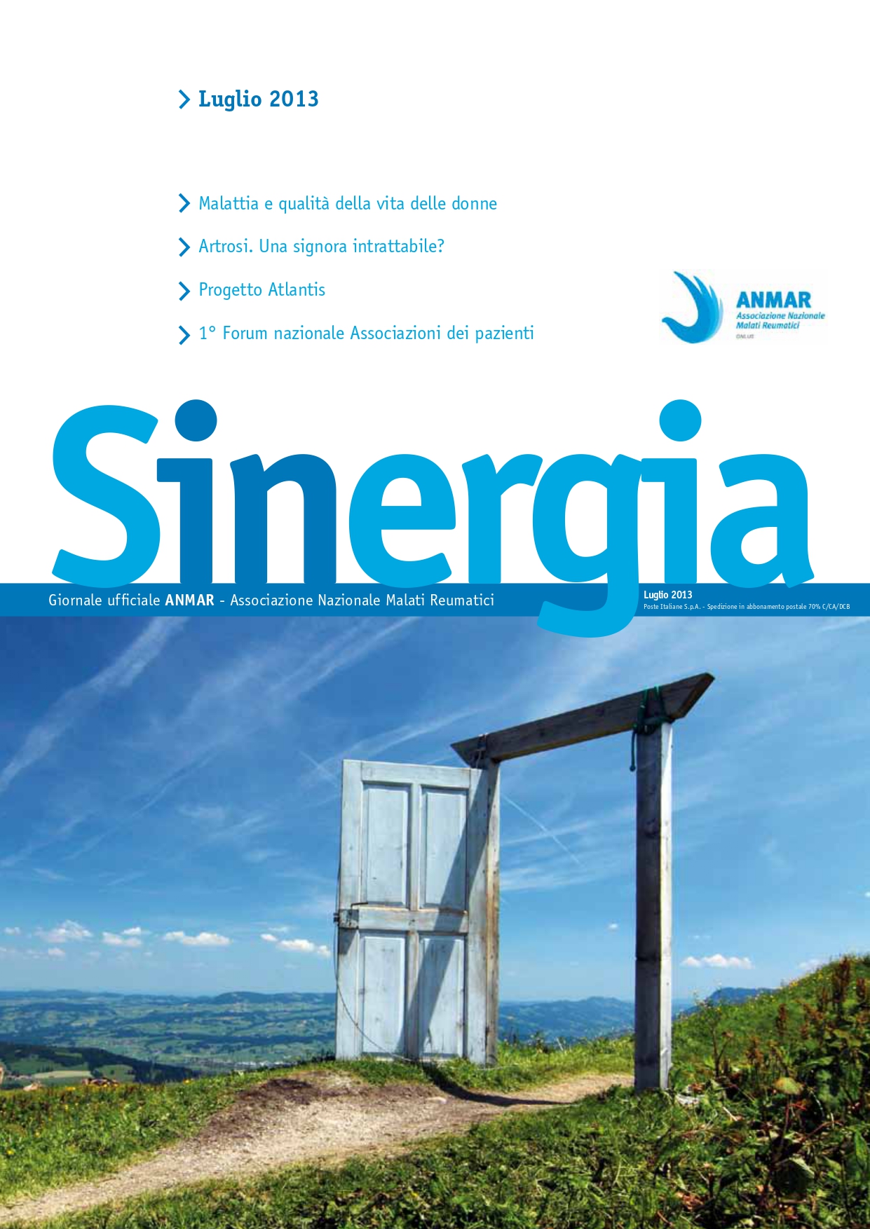 Sinergia luglio 2013