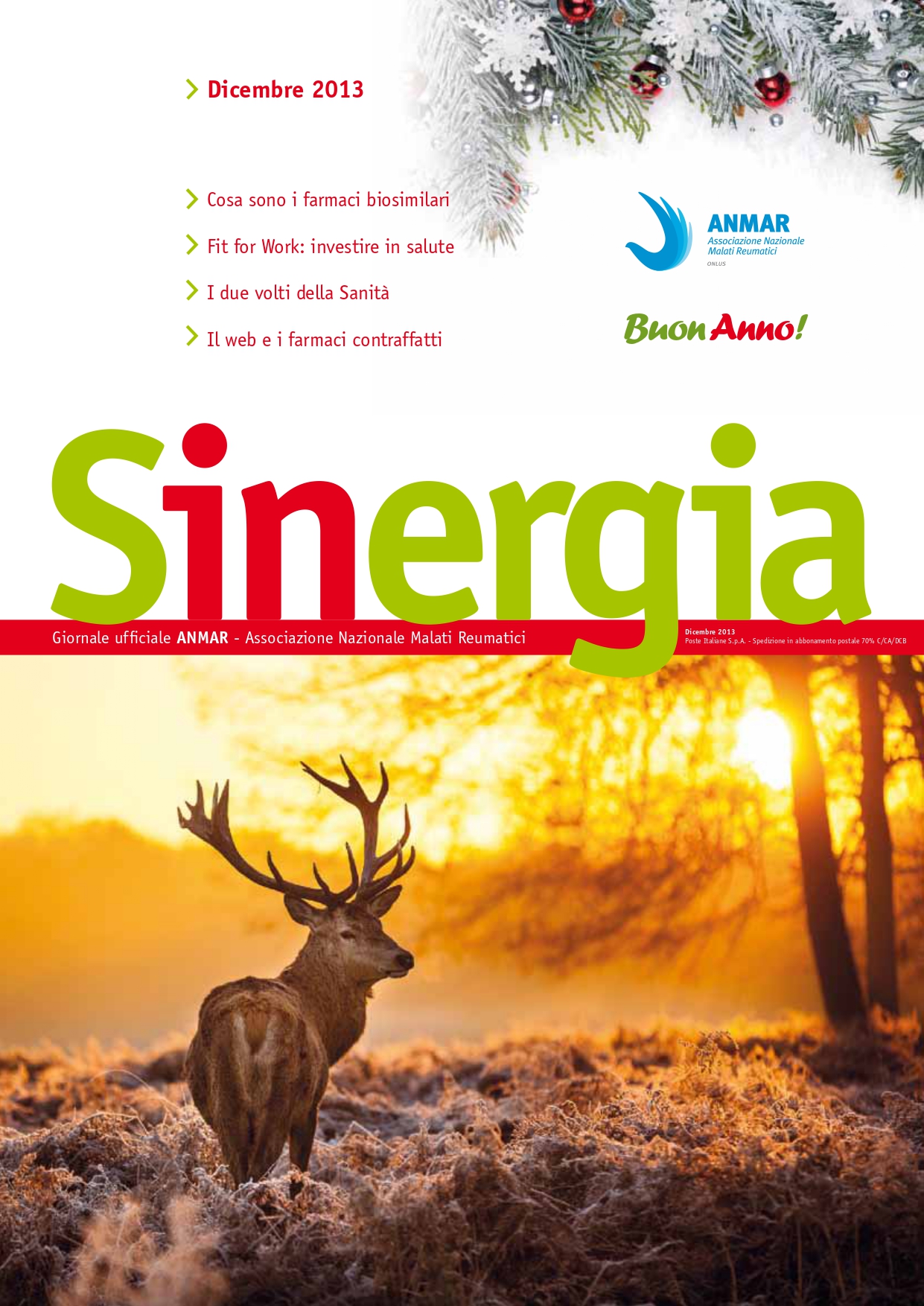 Sinergia dicembre 2013