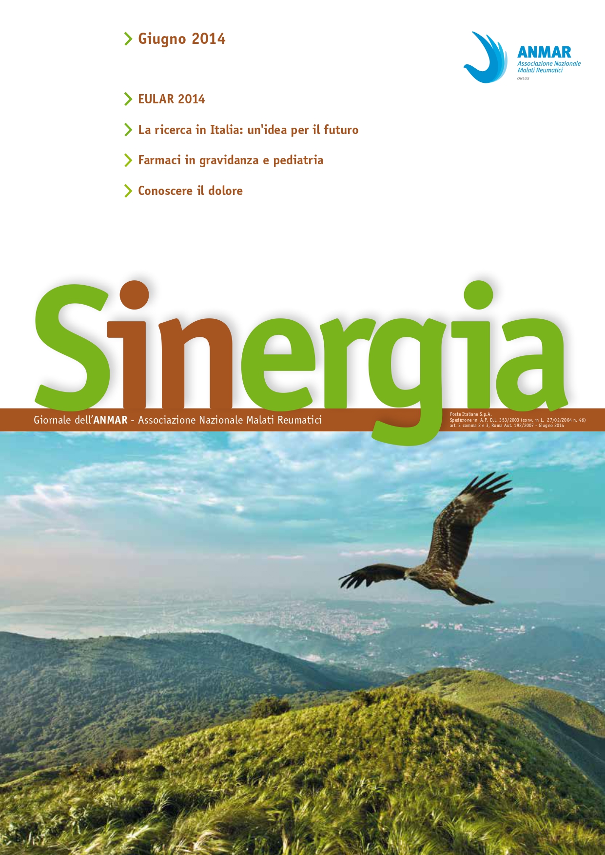 Sinergia giugno 2014