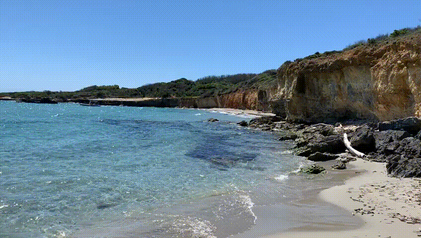 Mare
